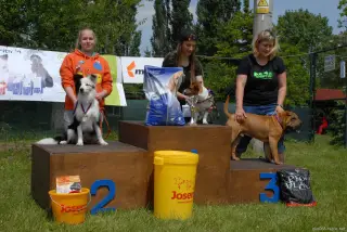 23.5.2015 - další fotky ze Štětského voříška – fotografie 12