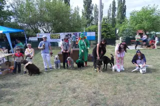 všichni účastníci nejoblíbenější soutěže