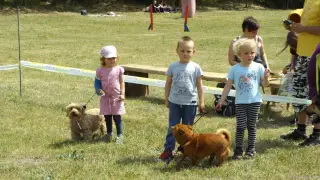 21.5.2016 - další fotky z 8.ročníku Štětského voříška – fotografie 45