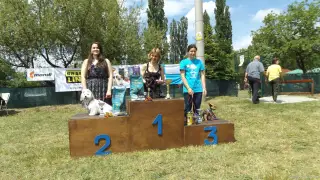 21.5.2016 - další fotky z 8.ročníku Štětského voříška – fotografie 47