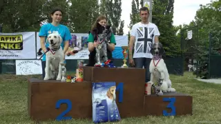 21.5.2016 - další fotky z 8.ročníku Štětského voříška – fotografie 68