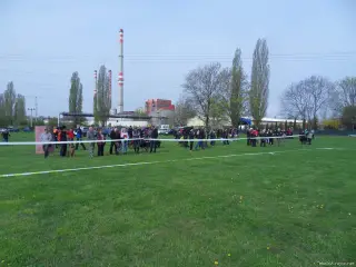 15.4.2017 - Oblastní výstava - Štětí – fotografie 9
