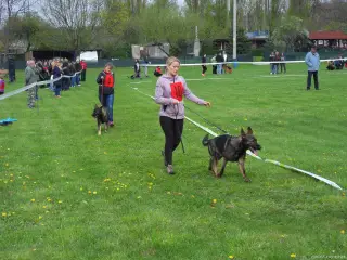 15.4.2017 - Oblastní výstava - Štětí – fotografie 38