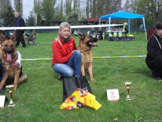 15.4.2017 - Oblastní výstava - Štětí – fotografie 48