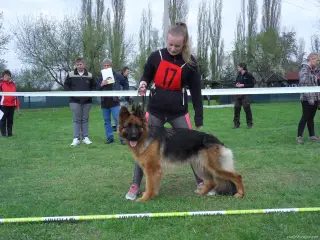 15.4.2017 - Oblastní výstava - Štětí – fotografie 53