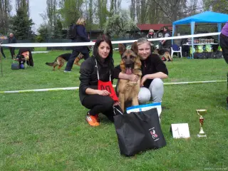 15.4.2017 - Oblastní výstava - Štětí – fotografie 67