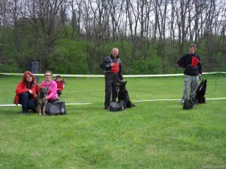 15.4.2017 - Oblastní výstava - Štětí – fotografie 71