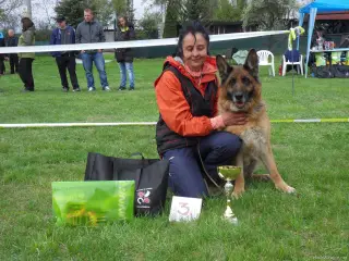 15.4.2017 - Oblastní výstava - Štětí – fotografie 79