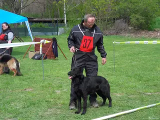 15.4.2017 - Oblastní výstava - Štětí – fotografie 85