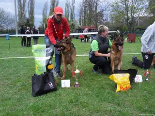 15.4.2017 - Oblastní výstava - Štětí – fotografie 101
