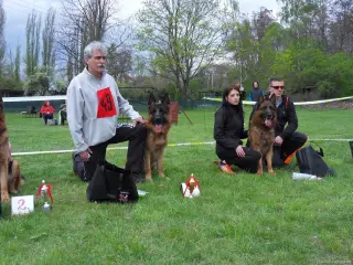 15.4.2017 - Oblastní výstava - Štětí – fotografie 102