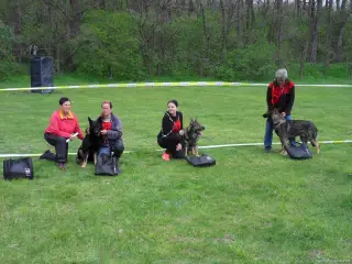 15.4.2017 - Oblastní výstava - Štětí – fotografie 104