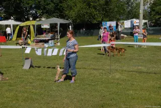 Sisi a Růženka z Mostu