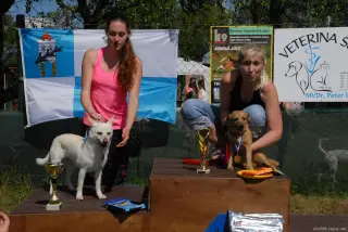 Voříšci-fenky do 40 cm: 1.m. Maggie z Teplic, 2.m. Amálka z Loun a 3.m. Mia z Teplic