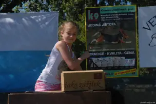 Štětský voříšek 2017 – fotografie 174