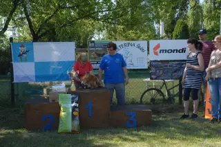 Štětský voříšek 2017