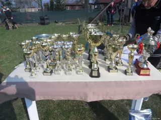Oblastní vystava NO - 2018 – fotografie 7