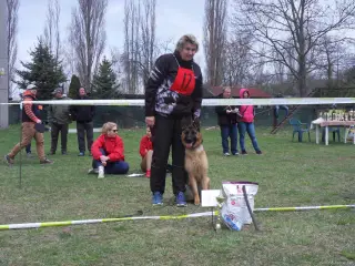 Oblastní vystava NO - 2018 – fotografie 31