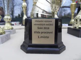 Oblastní vystava NO - 2018 – fotografie 36