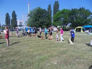 Štětský voříšek 2018 – fotografie 16