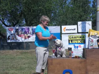 Štětský voříšek 2018 – fotografie 35