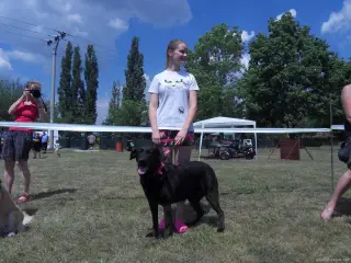 Štětský voříšek 2018 – fotografie 55