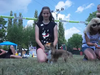 Štětský voříšek 2018 – fotografie 62