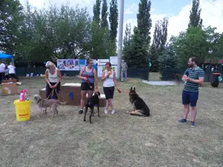 Štětský voříšek 2018 – fotografie 100