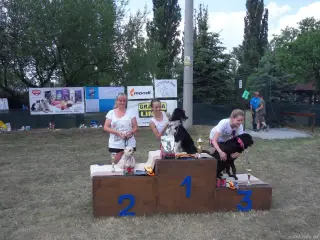 Štětský voříšek 2018 – fotografie 125