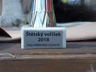 Štětský voříšek 2018 – fotografie 127
