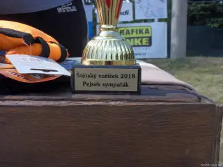 Štětský voříšek 2018 – fotografie 129