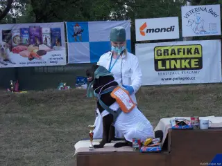 Štětský voříšek 2018 – fotografie 156