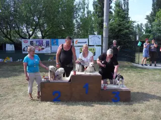 Štětský voříšek 2018 – fotografie 159