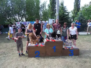 Štětský voříšek 2018 – fotografie 160