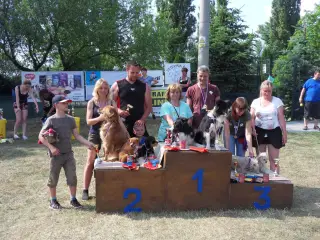 Štětský voříšek 2018 – fotografie 161