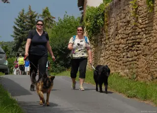 25.5.2019 - pochod pro útulky – fotografie 4