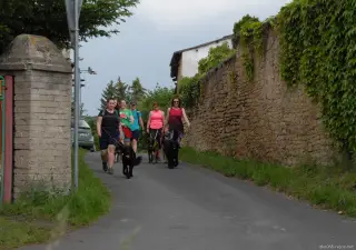 25.5.2019 - pochod pro útulky – fotografie 13