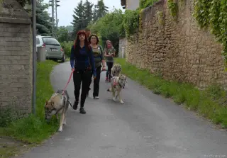 25.5.2019 - pochod pro útulky – fotografie 19