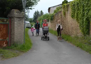 25.5.2019 - pochod pro útulky – fotografie 21