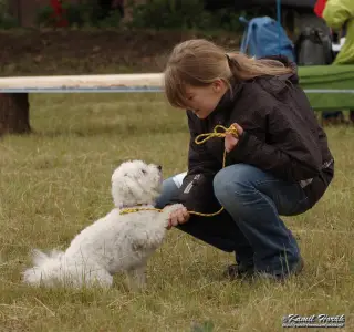 Stetsky_vorisek_2009_19