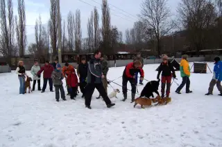 20.2.2010 - krásný sobotní výcvik – fotografie 6