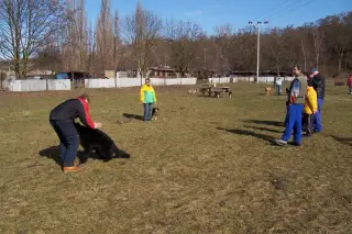 27.2.2010 - další povedený den na cvičáku – fotografie 2
