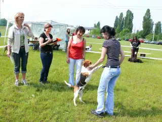 29.5.2010 - Štětský voříšek 2010 – fotografie 2