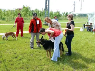 29.5.2010 - Štětský voříšek 2010 – fotografie 4