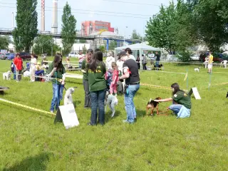 29.5.2010 - Štětský voříšek 2010 – fotografie 5