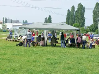 29.5.2010 - Štětský voříšek 2010 – fotografie 8