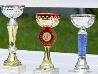 29.5.2010 - Štětský voříšek 2010 – fotografie 16