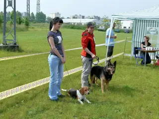 29.5.2010 - Štětský voříšek 2010 – fotografie 19