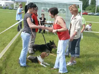 29.5.2010 - Štětský voříšek 2010 – fotografie 20