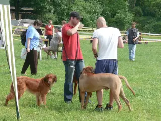 29.5.2010 - Štětský voříšek 2010 – fotografie 21